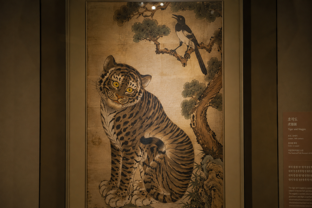 Korean minhwa painting of a tiger and magpie displayed in a museum gallery